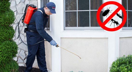 Sivaslı Akrep İlaçlama böcek ilaçlama ve haşere kontrolü — ilaclama-tr.com